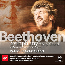 herascasadobeethoven9